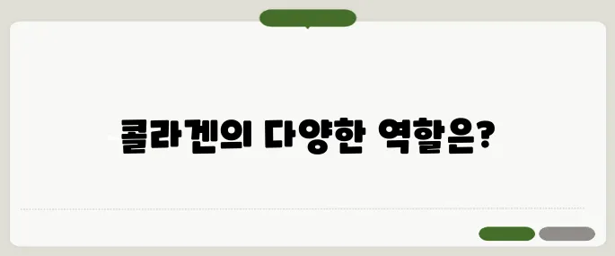 콜라겐의 효능 피부뿐만 아니라 뼈 건강에도 좋을까?
