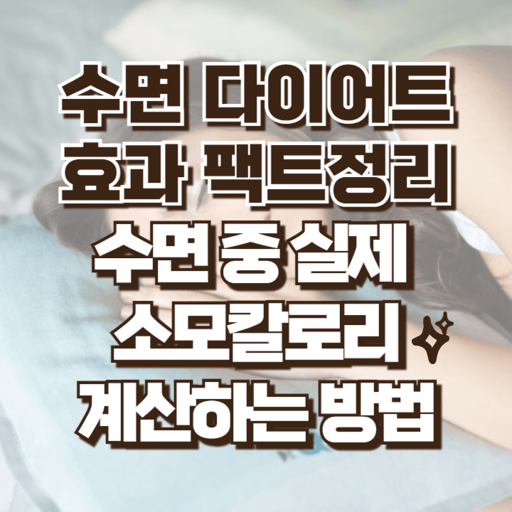 수면 다이어트 효과 수면 중 실제 소모칼로리 계산하는 방법