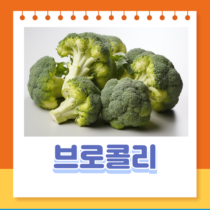 브로콜리세척법데치기시간효능