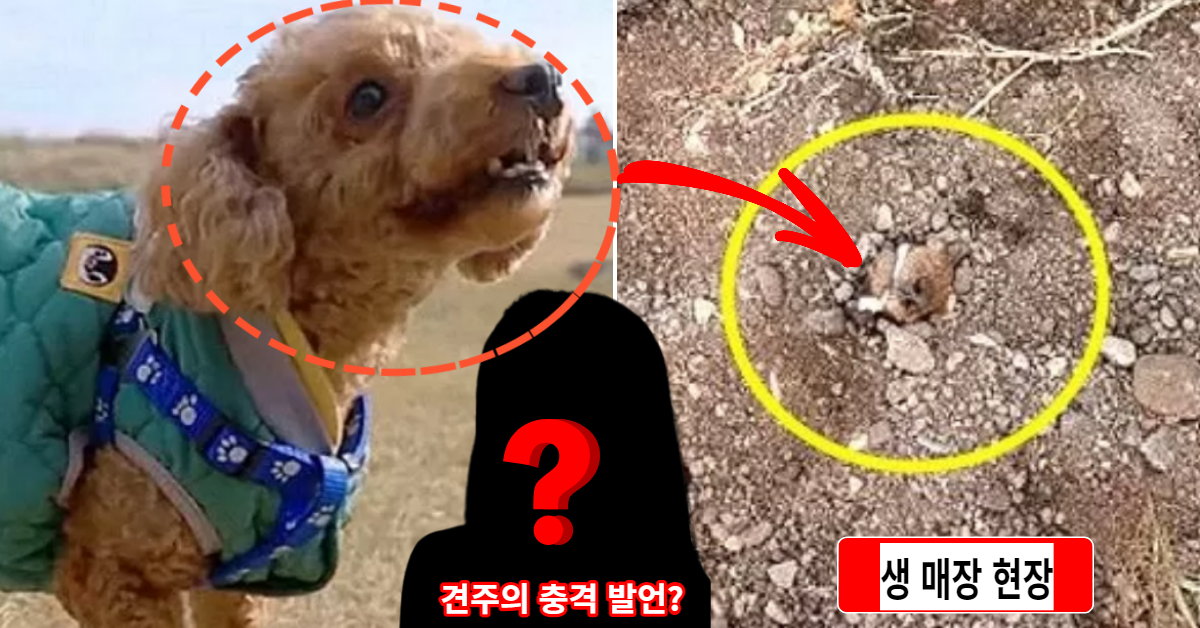 키우던 강아지를 '산 채로 생매장'시킨 주인의 충격적인 이유가 알려지자 모두 놀랐다.