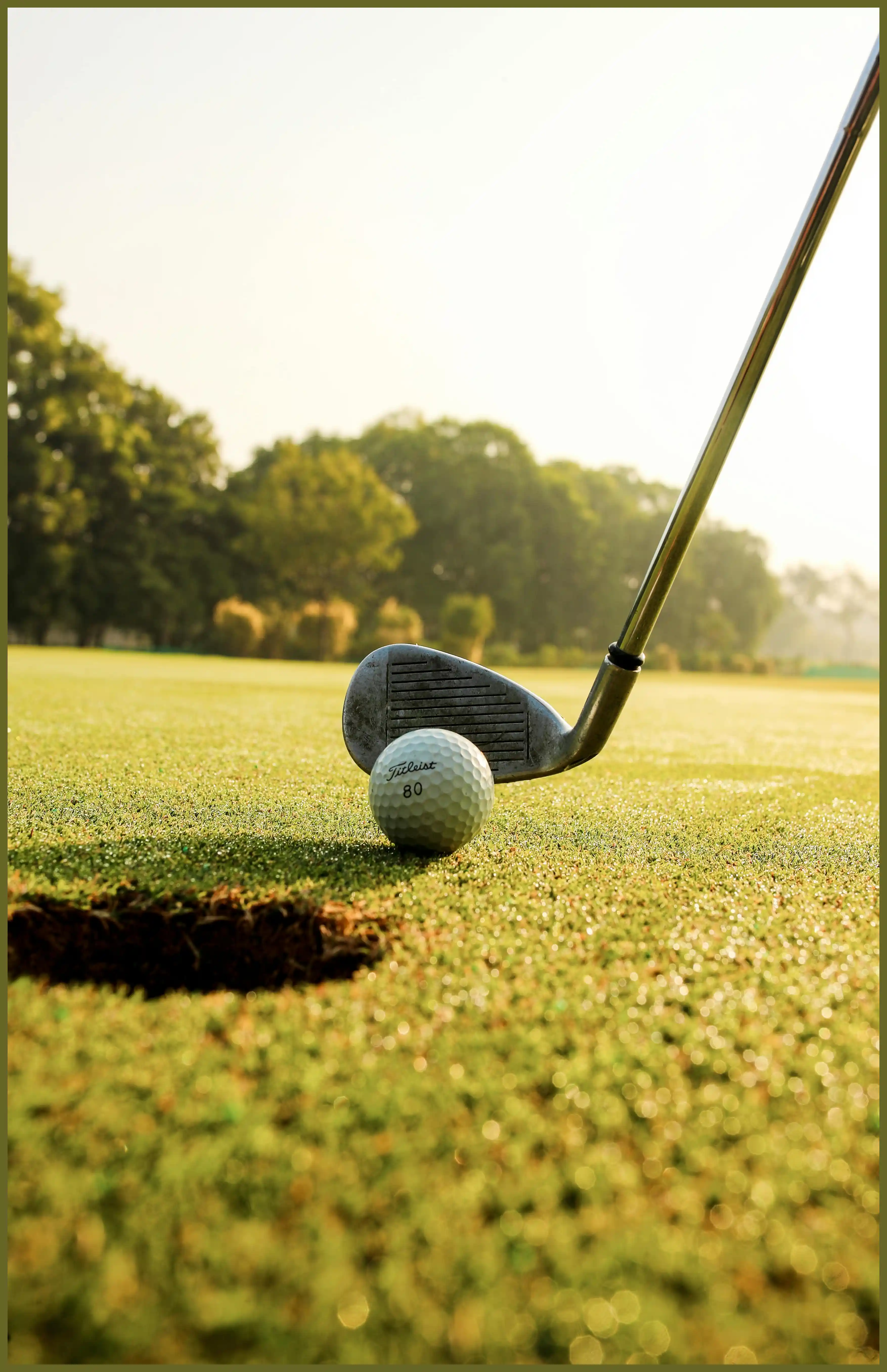 파크골프 용어 정리 해설 점수 계산법