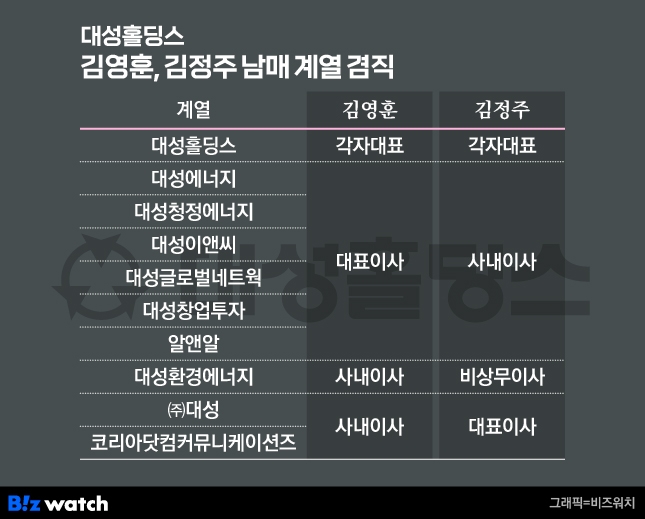대성홀딩스 김영후, 김정주 남매 계열 겸직