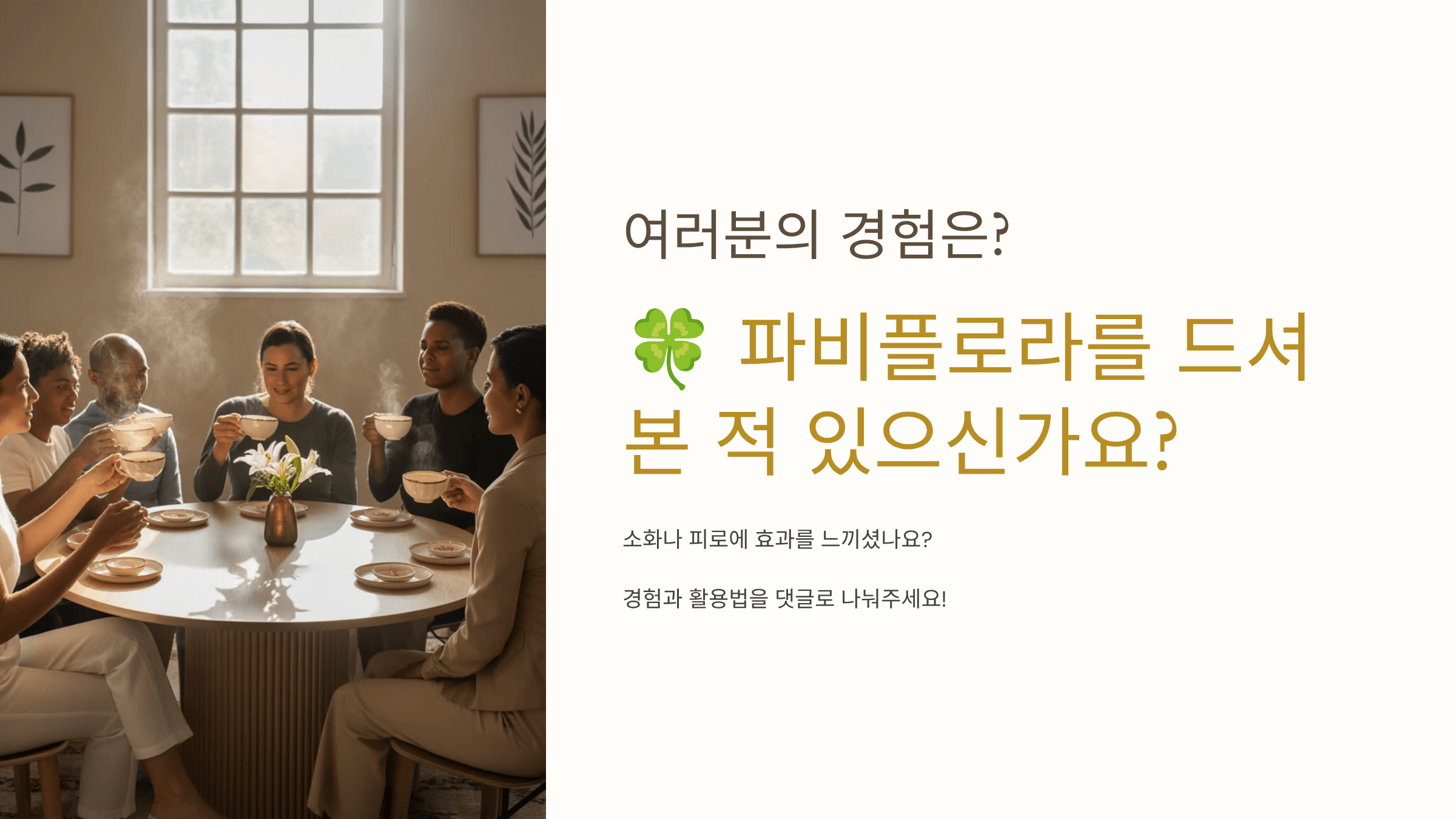 파비플로라 사진입니다.