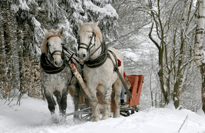 에너지 바우처 대상자 확인