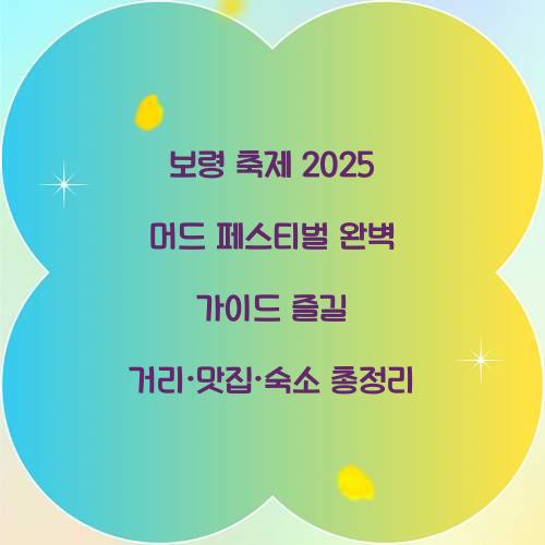 보령 축제 2025 머드 페스티벌