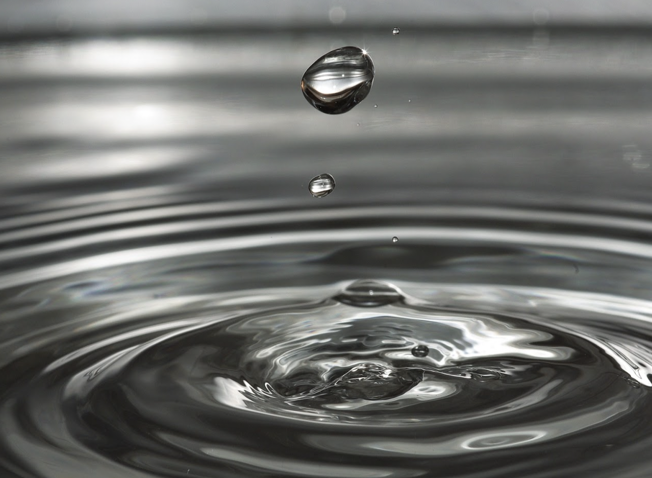 동서 맥진: 화룡선생의 지도 아래 경험한 통합의 이야기