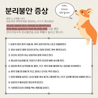 견주라면 알아야 하는 강아지 분리불안 해결법_22