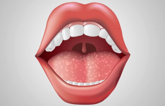 소화 시작! 입과 치아가 하는 일