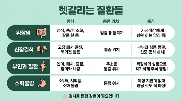 맹장염 장염 요로결석 부인과 질환 소화불량 비교