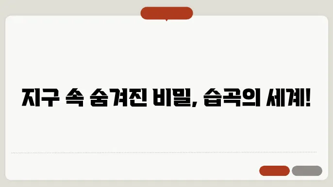 습곡