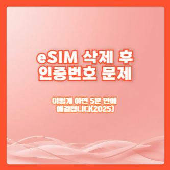 eSIM 삭제 후 인증번호 문제, 이렇게 하면 5분 만에 해결됩니다(2025)