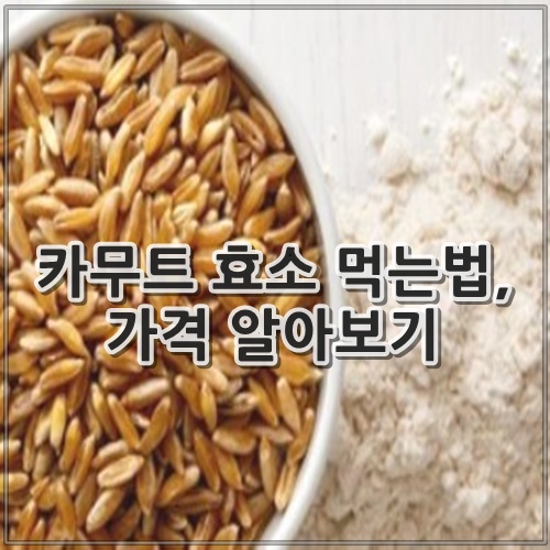 카무트 효소 먹는법, 가격 알아보기