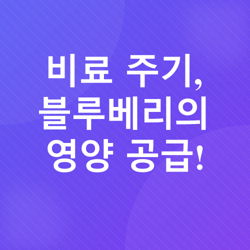 블루베리 화분 재배_5
