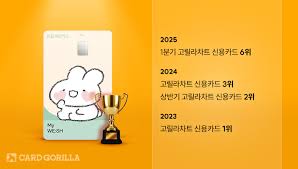 사회 초년생 필수 신용 카드 추천