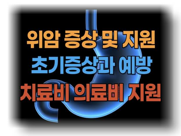 위암 초기증상 증상에 따른 위암 치료비 지원