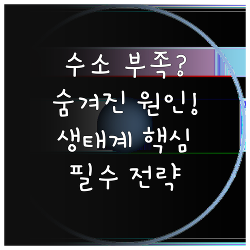 수소 충전소 부족의 구조적 원인 분석..