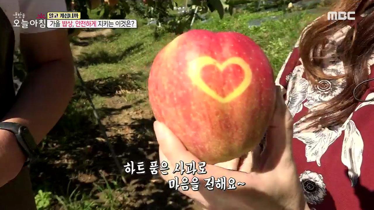 알고계십니까 맹물 대신 사골 묵은쌀을 햅쌀처럼 밥 짓기