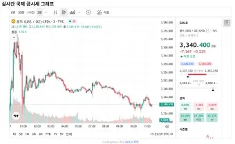 금 시세 전망 금값 상승 이유 정리_5