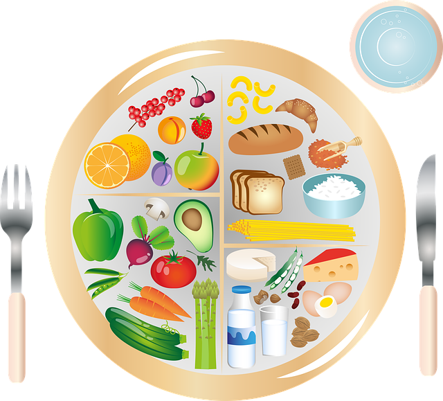 영양소의 종류와 기능