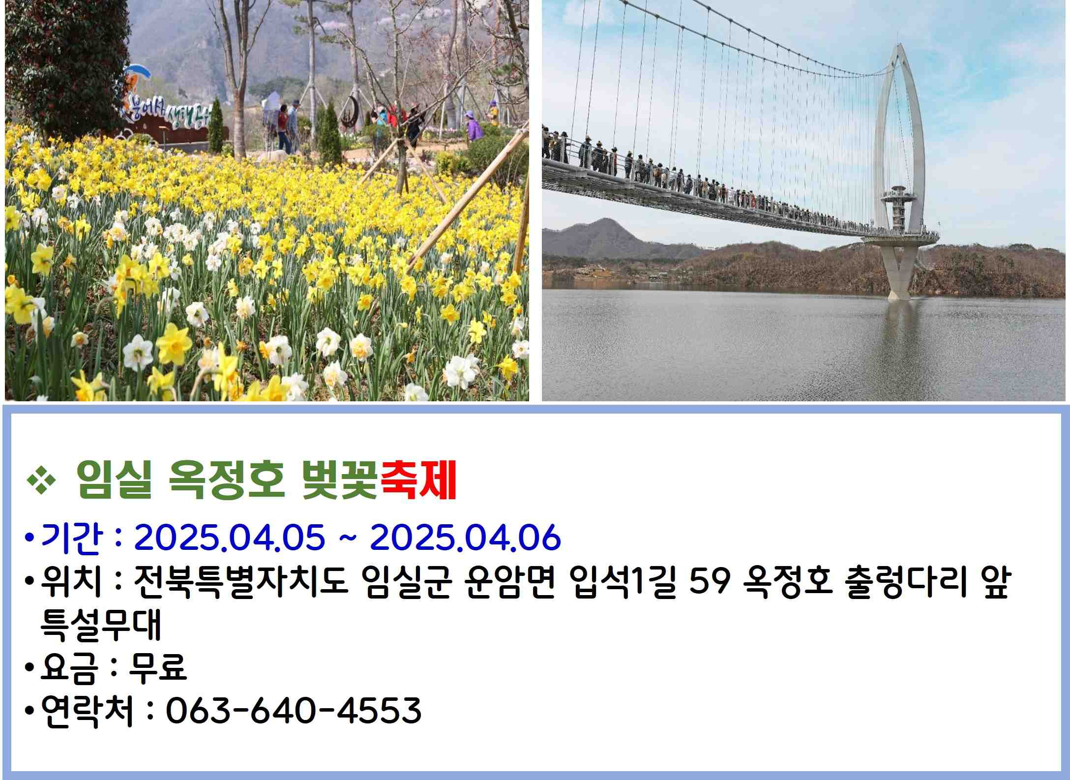 임실 옥정호 벚꽃축제