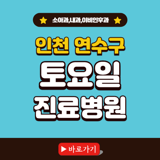 인천 연수구 토요일 진료 병원 찾기 ❘ 주말 문여는 소아과, 내과, 이비인후과 리스트