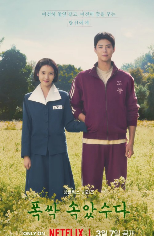 넷플릭스 드라마<폭싹 속았수다> 줄거리 등장인물 해외 반응