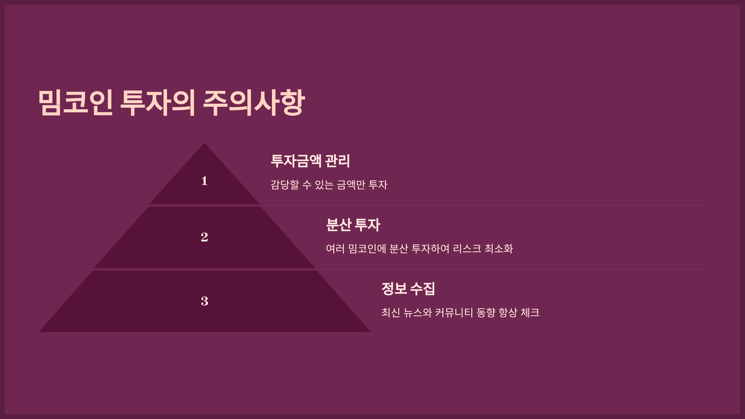 밈코인 투자의 주의사항