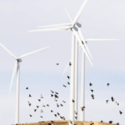 풍력 관련주 대장주 신재생에너지 테마주 TOP5