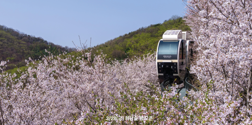 화담숲 모노레일 이용방법