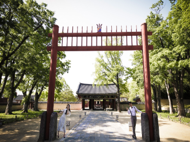 전주한옥마을 봄꽃축제(14)