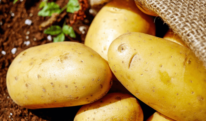 칼륨이 많은 음식 감자 여러 개가 바닥에 놓여 있다