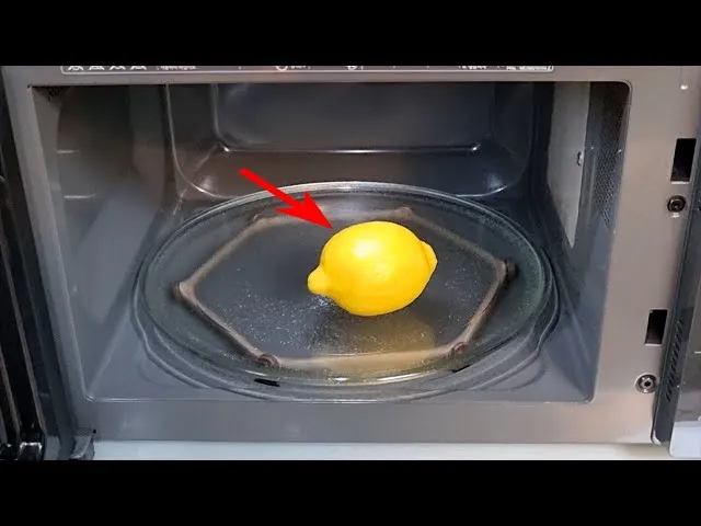 찌든 때부터 냄새까지 전자레인지 청소 레몬 식초로 간편하게 해결 완벽 관리_5