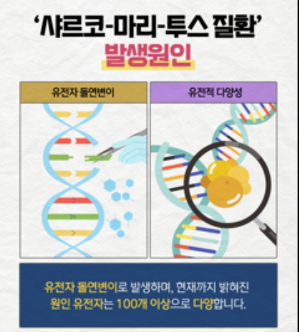 샤르코마리투스