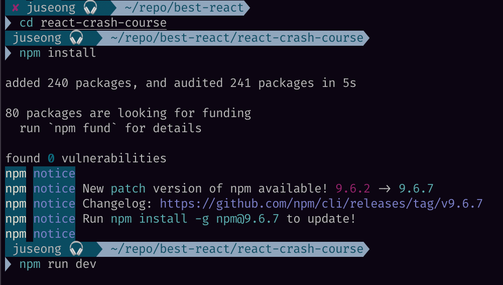 react npm install