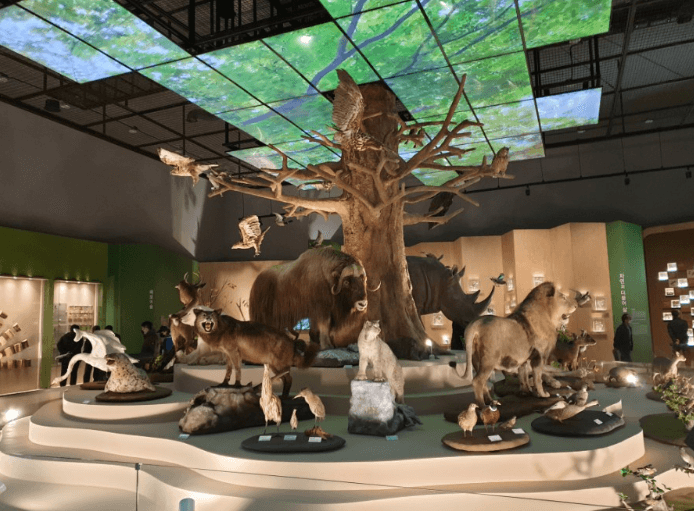 목포자연사박물관