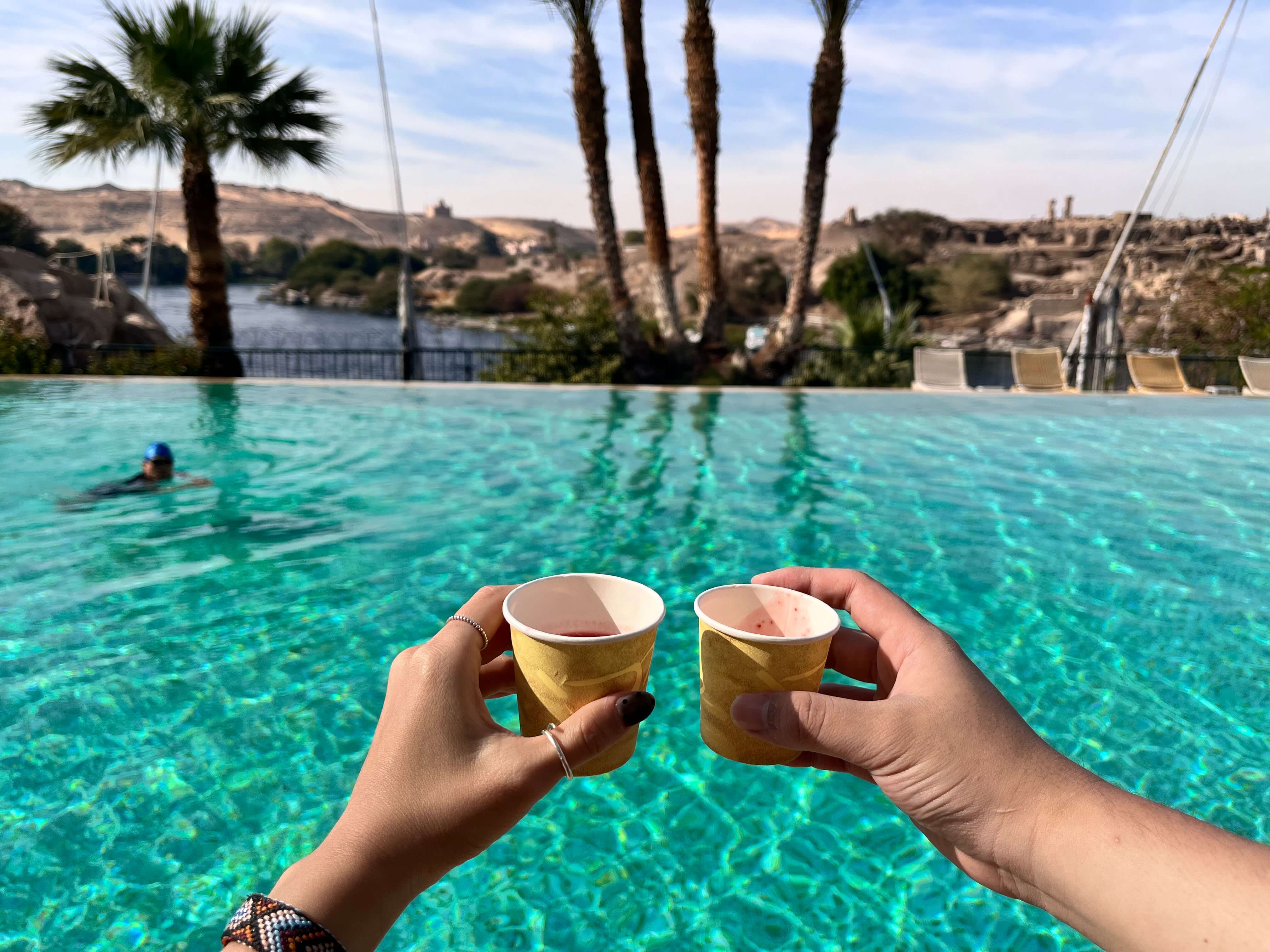 소피텔 레전드 올드 카타락(Sofitel Legend Old Cataract Aswan)