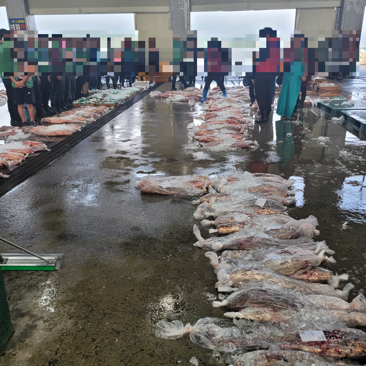 신안군 지도 어판장