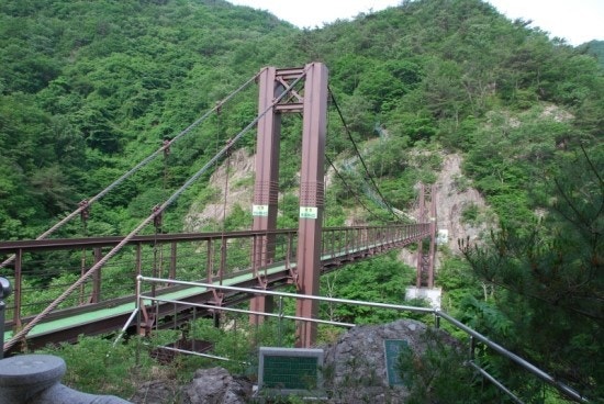 출렁다리