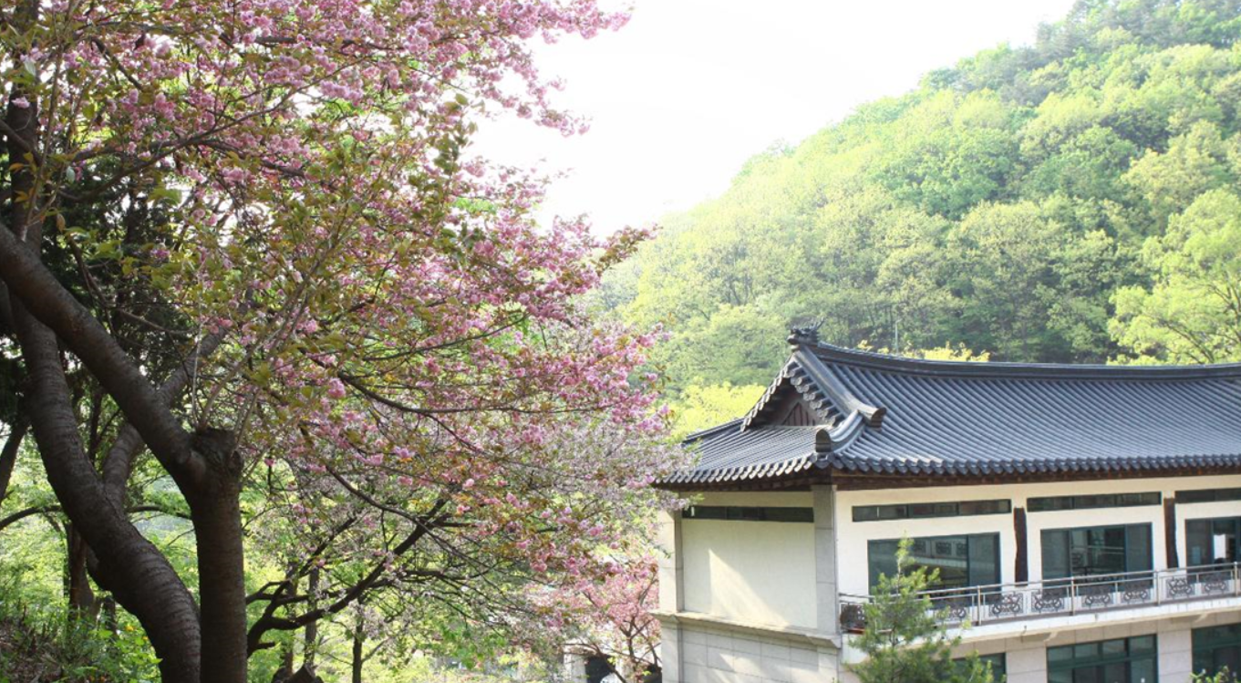 충남 무량사 템플스테이 가격 예약 바로가기