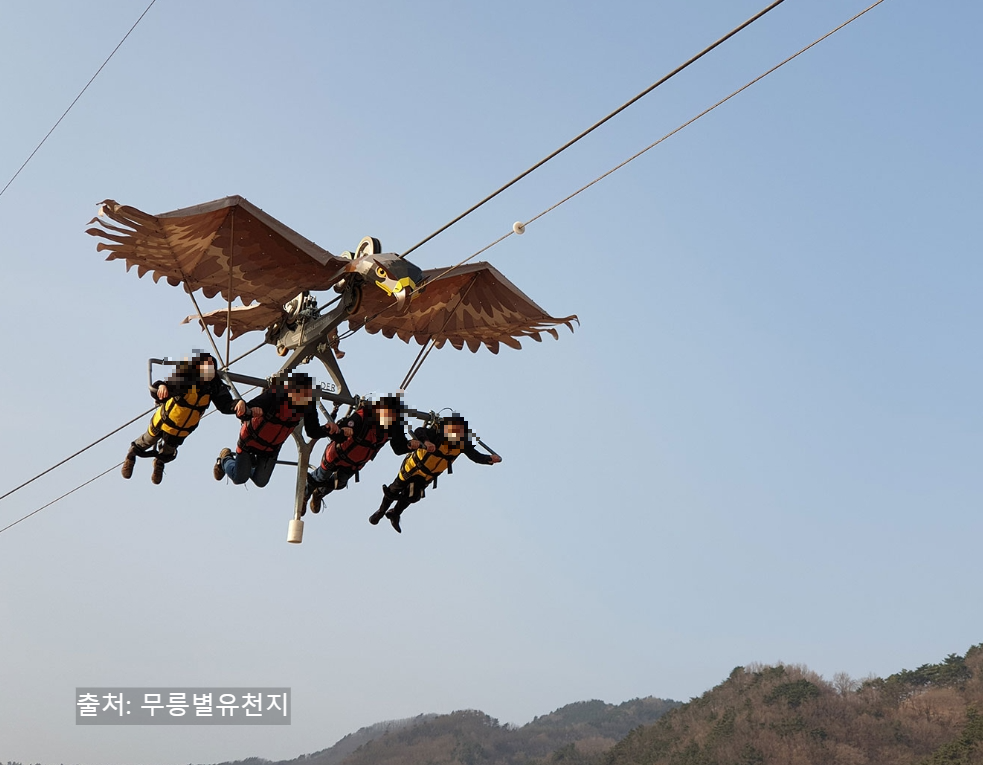 강원도 동해 가볼만한 곳 무릉별유천지 완전정복! 루지부터 짚라인까지 액티비티 총정리