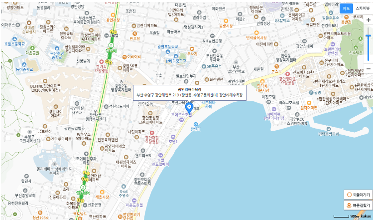 부산 광안리 불꽃축제