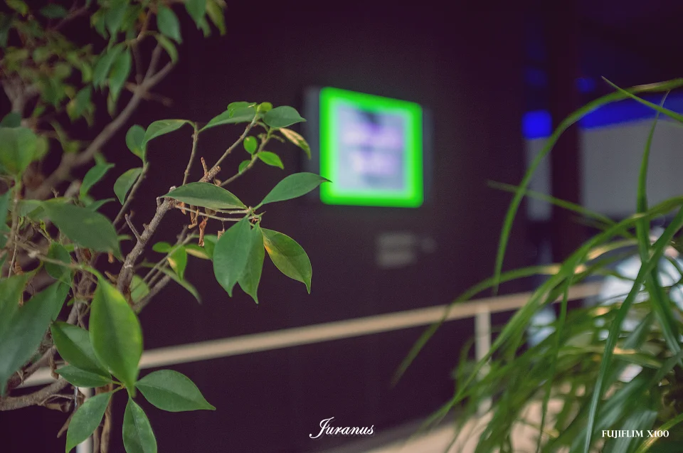 백남준아트센터_06