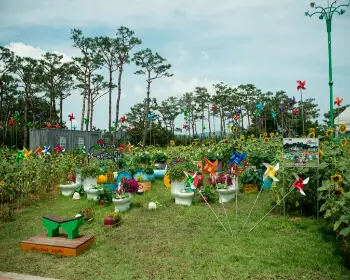무안 연꽃축제_7