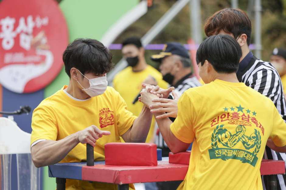 2024 진안홍삼축제 기본일정과 프로그램 정리 이찬원 안예은 윤도현밴드 거미 김수찬 별사랑 미스김 김태연 서지오 박군 주현미 출연