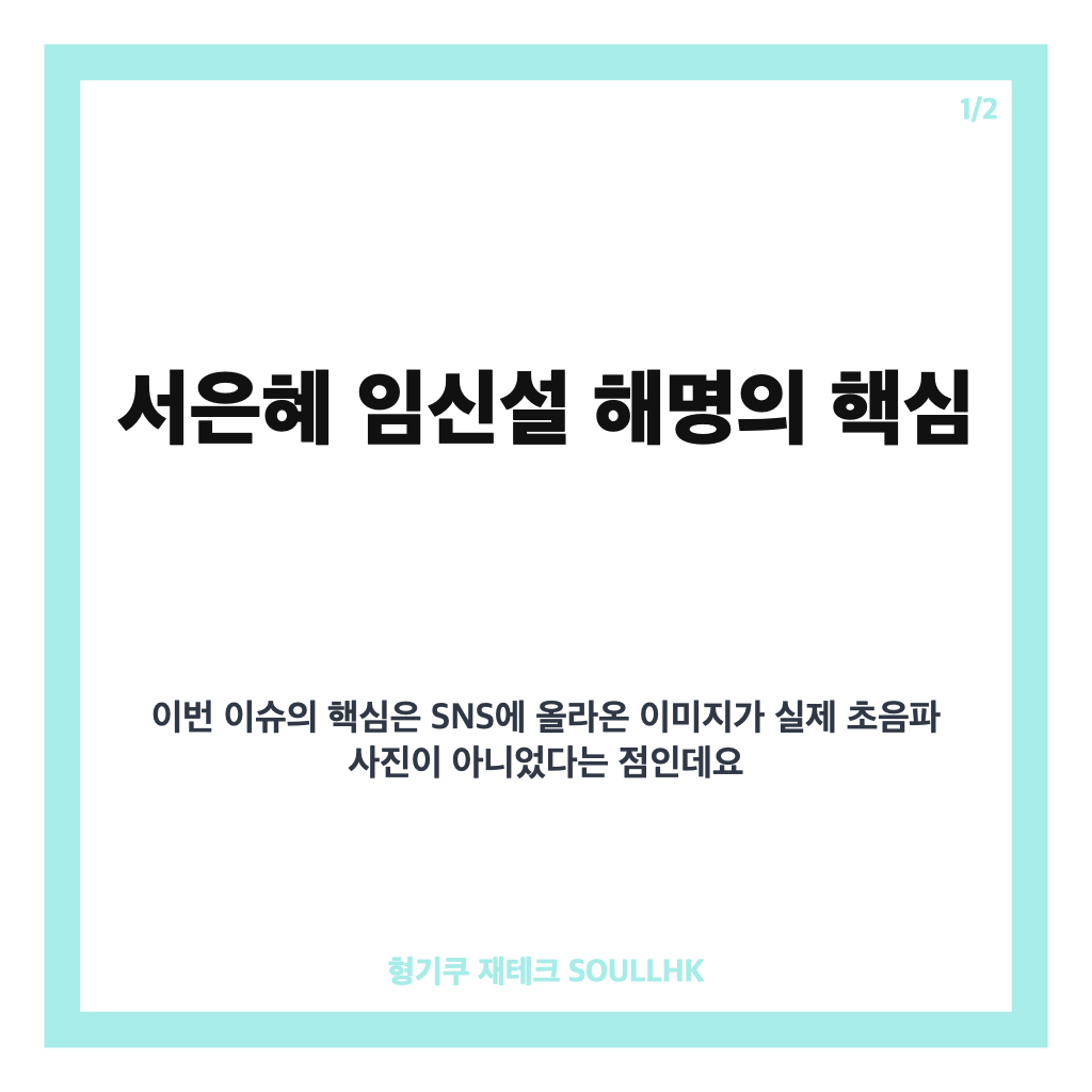 서은혜, 아이 갖지 않기로 합의한 이유와 AI 임신설 해명 카드뉴스 1