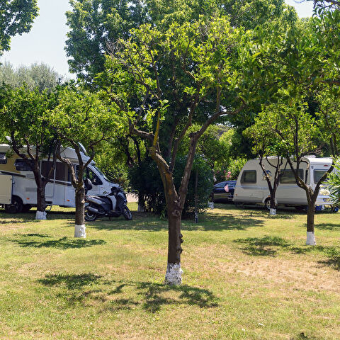 Camping Zeus