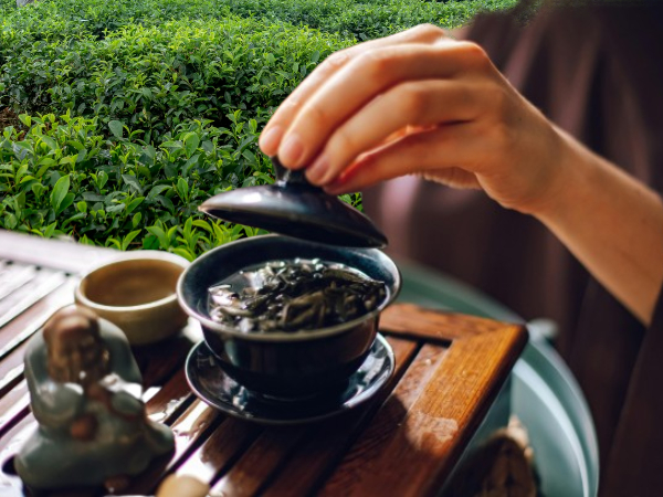 차밭 배경에서 개완에 차를 우리는 사람. 개완과 찻잔 그리고 손이 보인다. 차판에는 작은 도자기 인형이 있다.