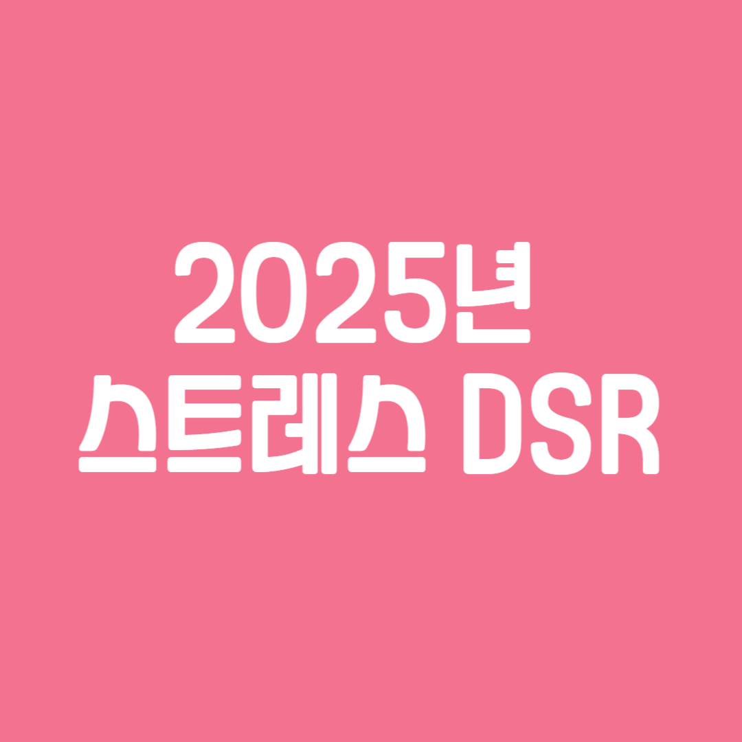 2025년 스트레스 DSR
