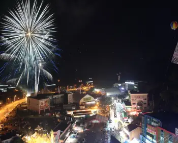 금산 인삼축제_11