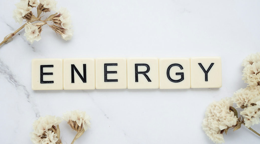 다이어트 보조제 성분